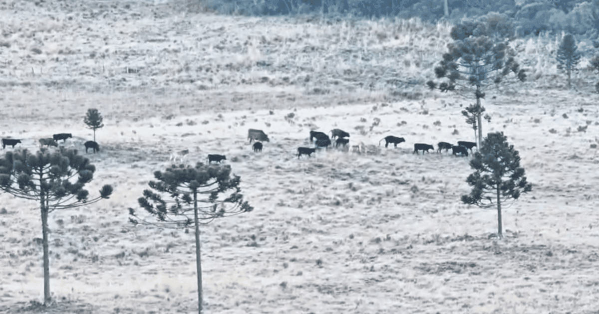 Frio intenso e neve chegam ao sul do Brasil com frente polar