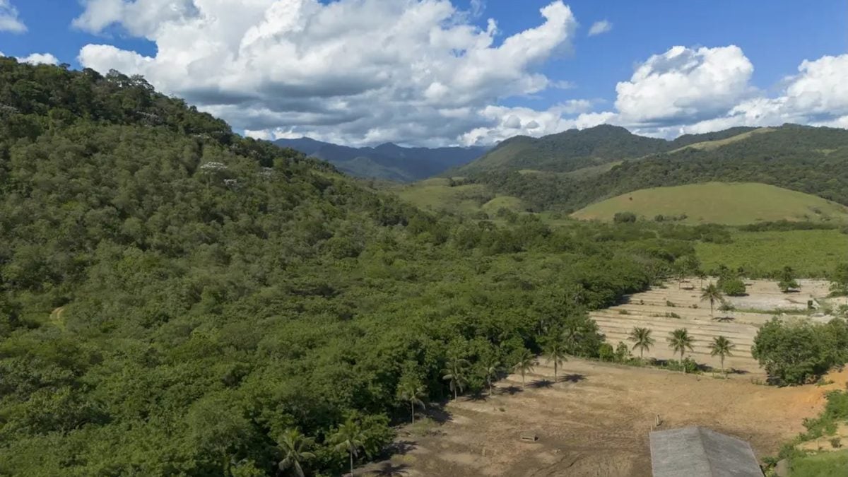 Agricultura ganha 11 milhões de hectares em 41 anos na Mata Atlântica