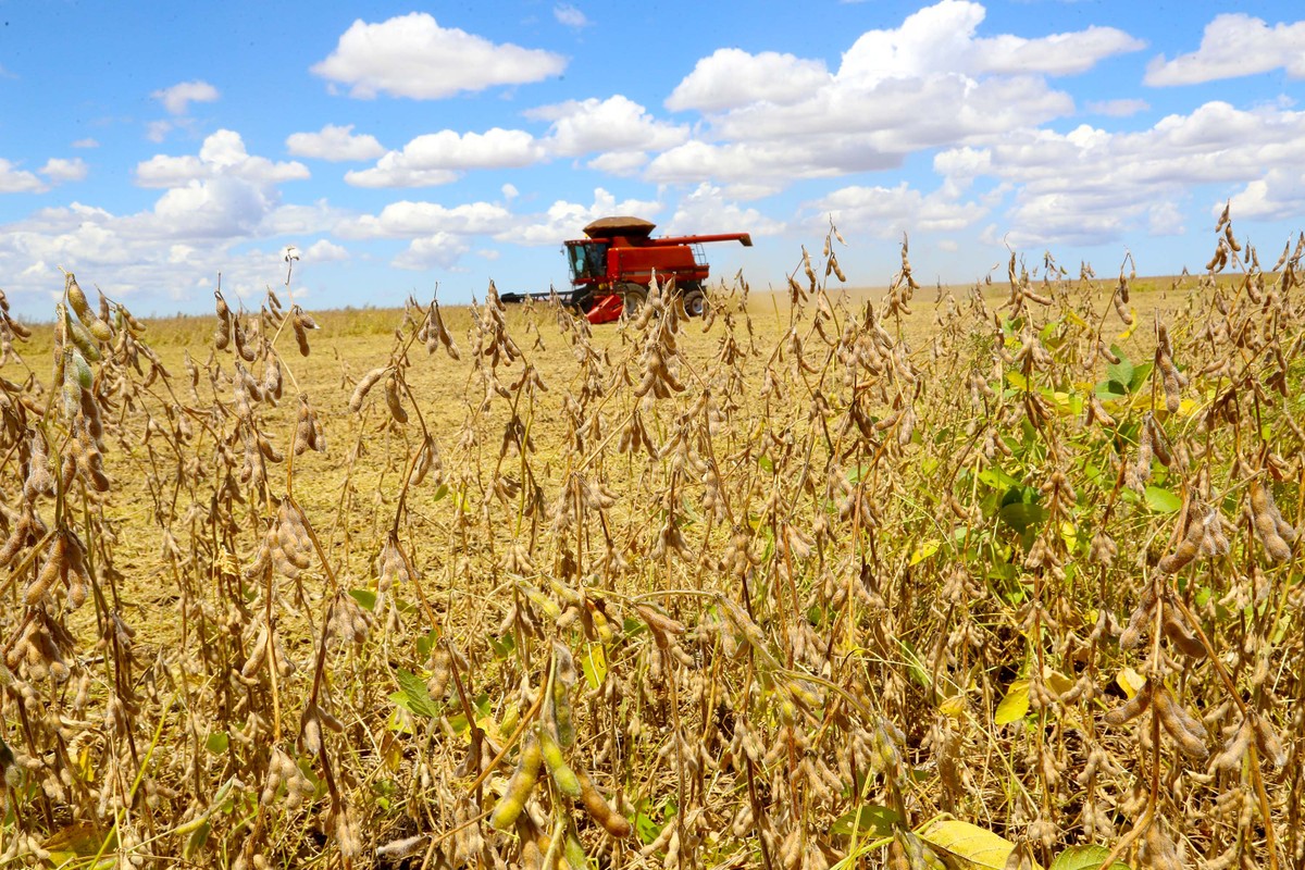 Valor bruto da produção agropecuária chega a R$ 1,4 trilhão em agosto