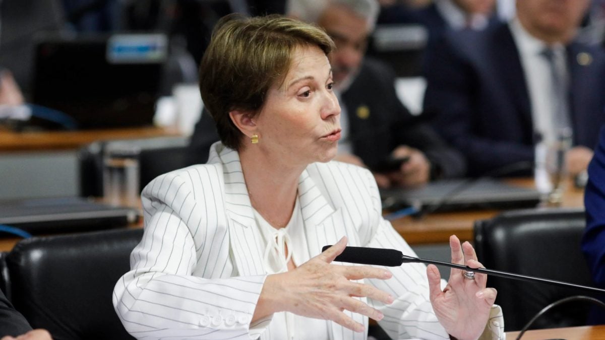 Tereza Cristina alerta para crise no STF e fala em “iminência de uma implosão”
