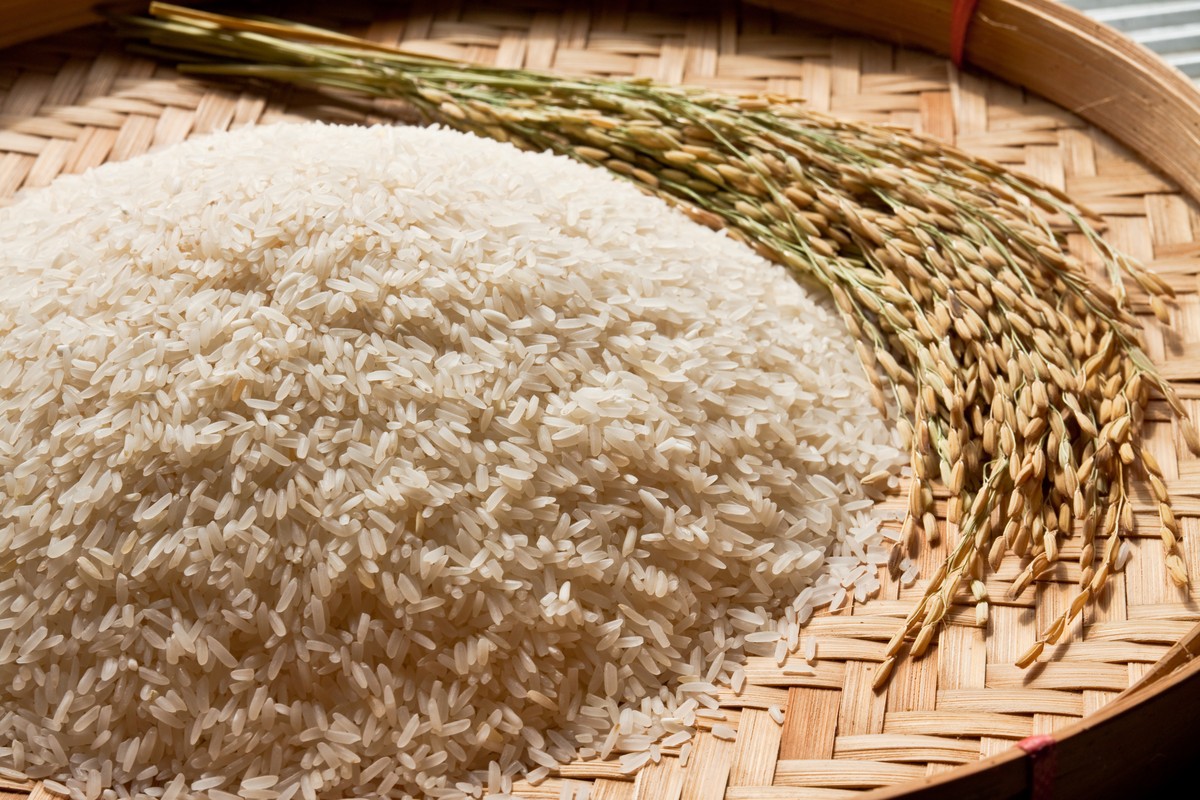 Demanda externa por arroz brasileiro eleva preços e disputa no RS