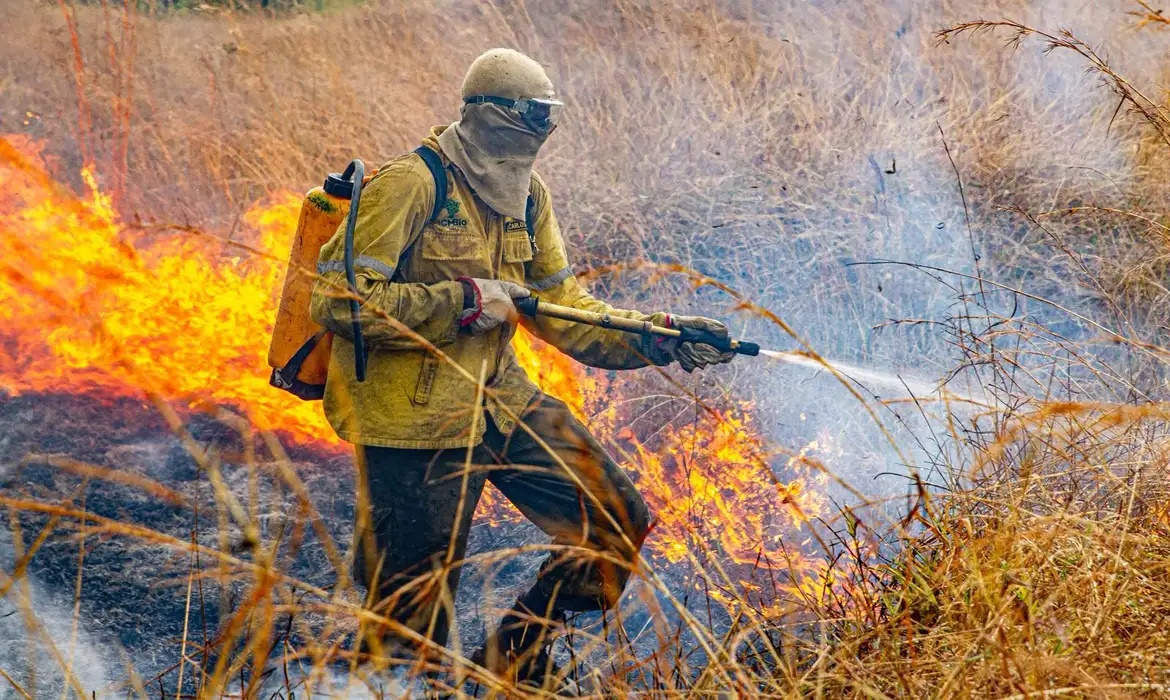 Goiás reduz mais de 50% da área queimada e lança sistema com Ia contra incêndios