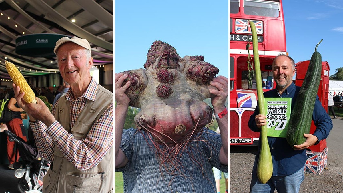 Hortaliças gigantes quebram sete recordes mundiais na Inglaterra