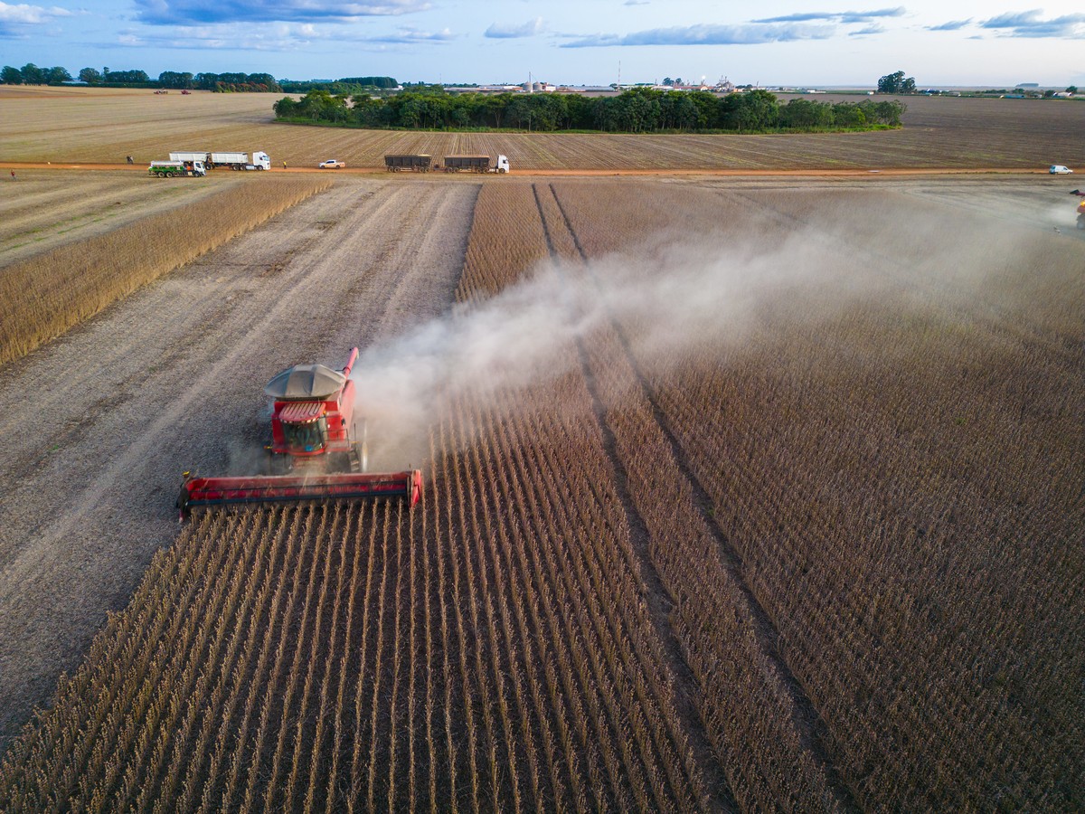 Valor da produção agrícola cresce 18,4% em 2025 e chega a R$ 927,2 bilhões