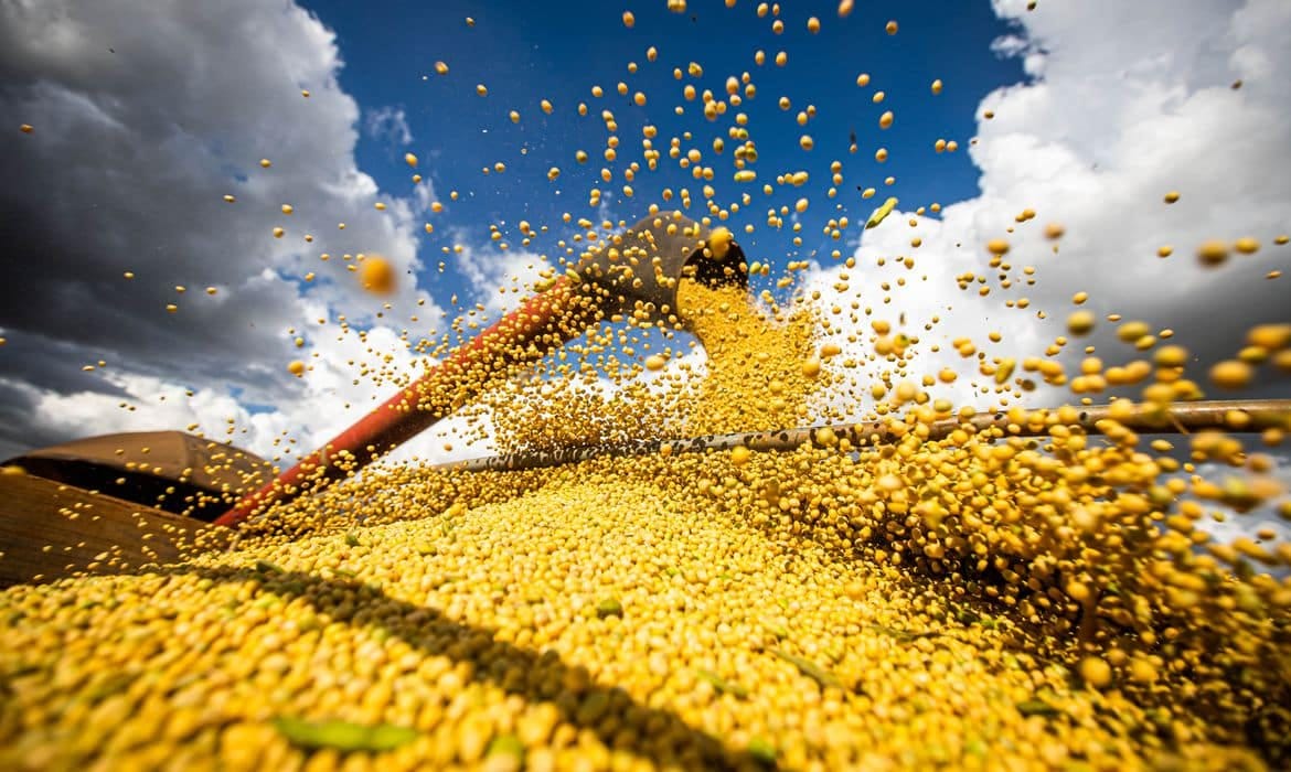 Produção agrícola do Brasil alcança recorde de R$ 927,2 bilhões em 2025