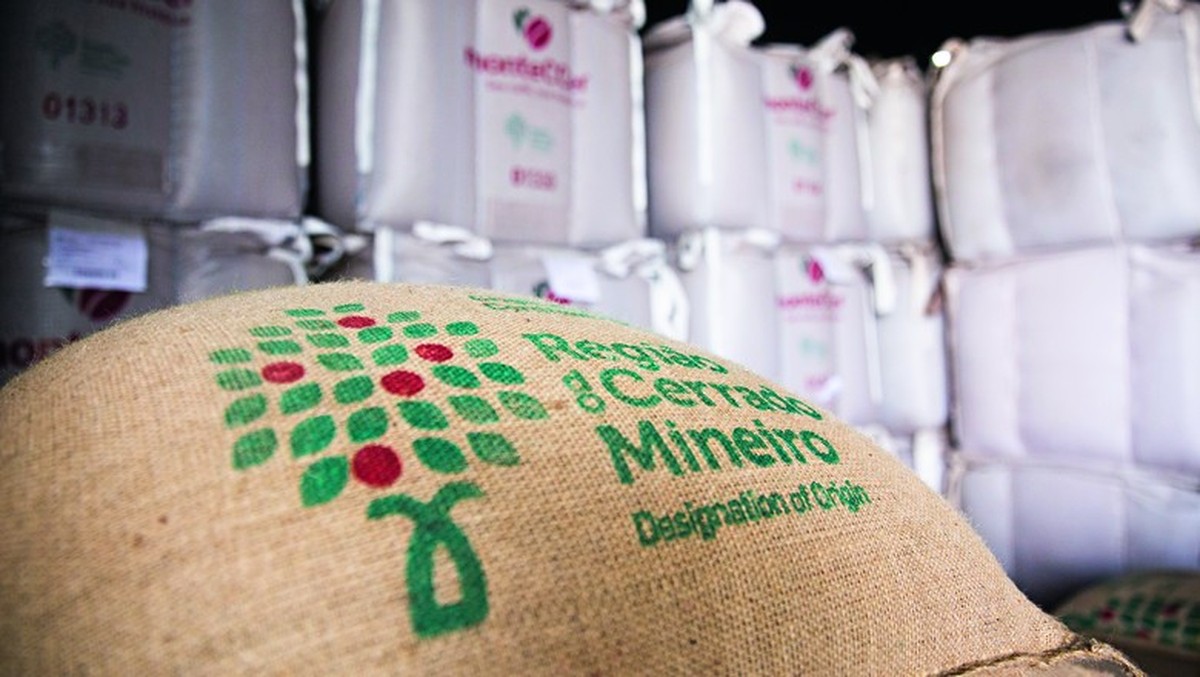 Chuvas atrasam reta final da colheita de café no Cerrado Mineiro