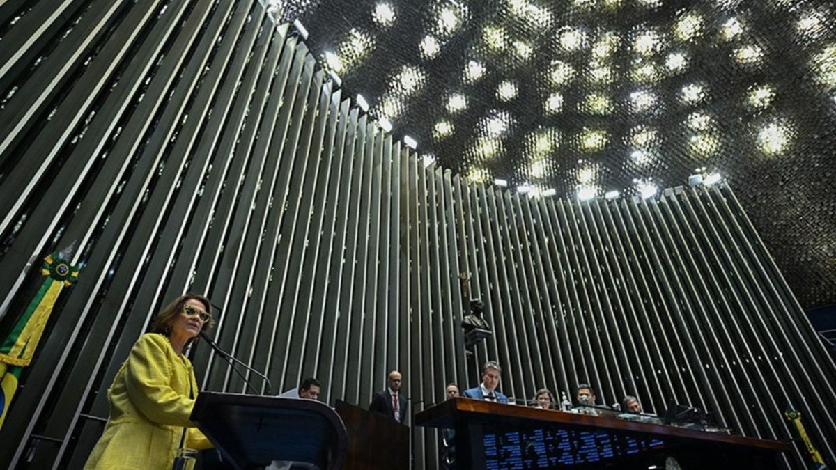 Senado aprova projeto que torna Pibid política permanente de Estado