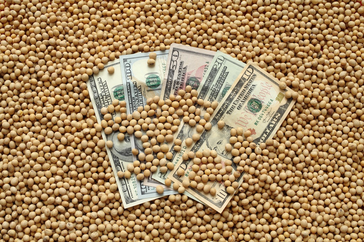 Grãos em Chicago: encontro EUA-China não altera cotações e mercado volta atenção à safra