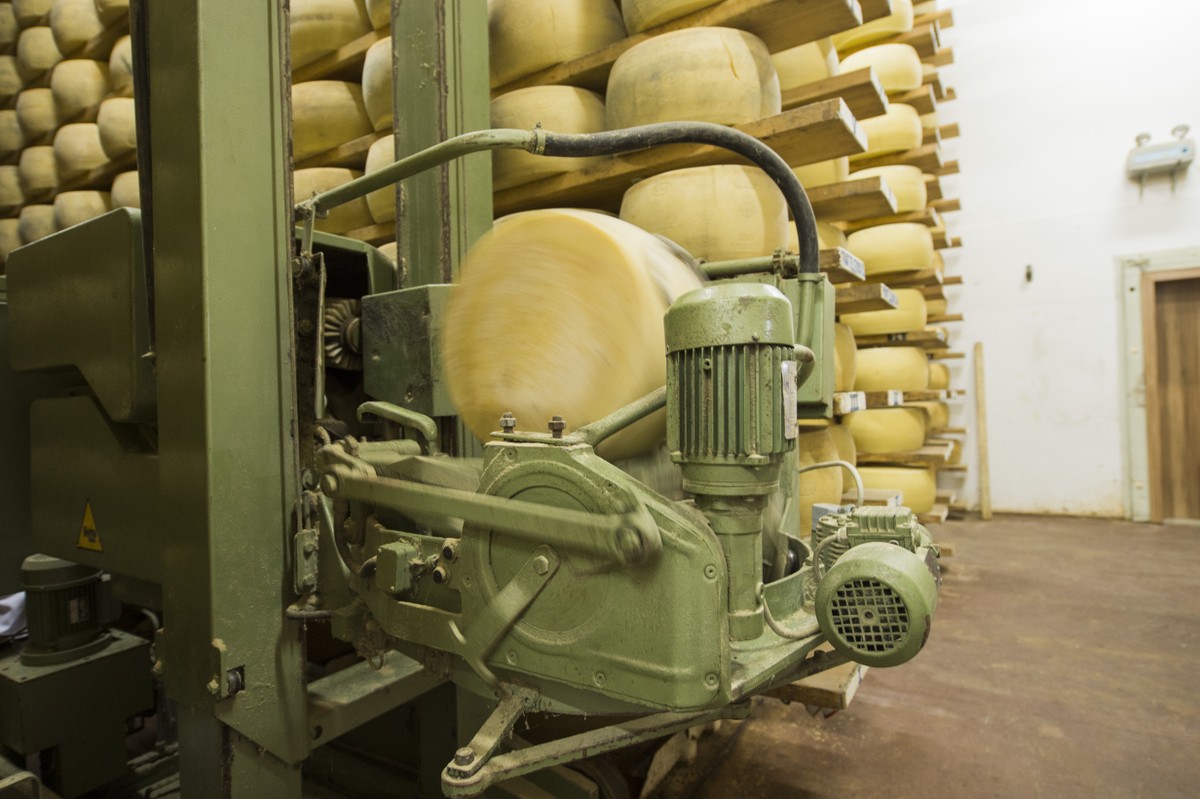 Robôs queijeiros: a tecnologia que garante o grana tipo italiano no Rio Grande do Sul