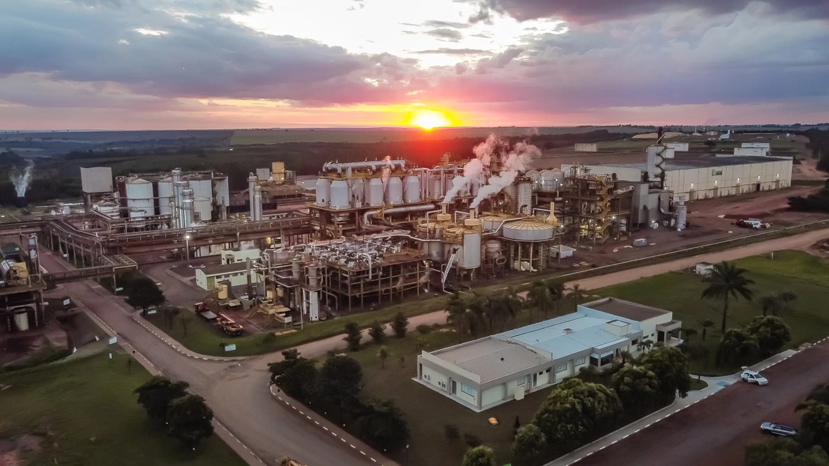 Vendas de etanol das usinas do Centro-Sul crescem 15% na 2ª quinzena de agosto
