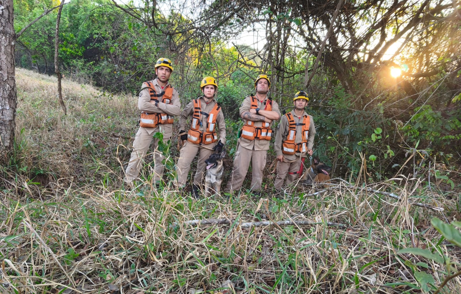 Ossada humana é encontrada em Aparecida de Goiânia