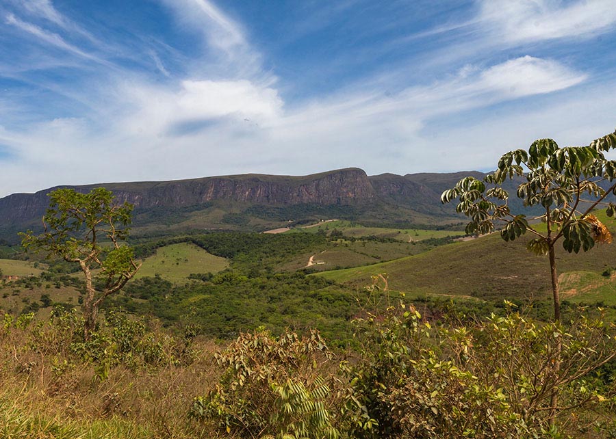 Cerrado mineiro: Pesquisa aponta caminhos para produtores conciliarem lucro e preservação