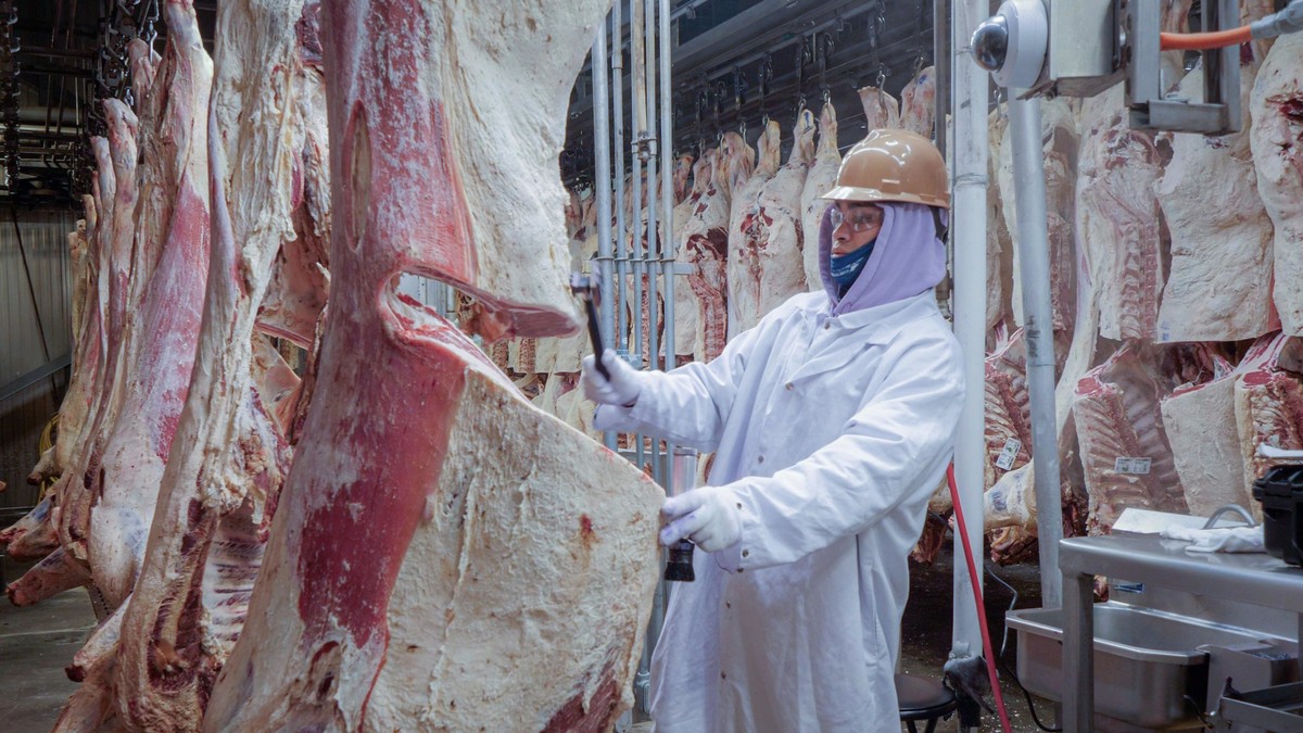 Operações migratórias nos EUA ameaçam abastecimento e preço da carne bovina