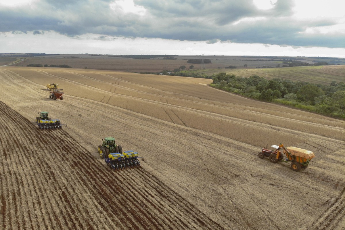 Paraná deve sair na frente no plantio da soja