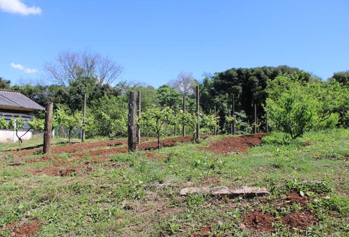 Prazo final da Ditr se aproxima: o que o proprietário rural precisa saber