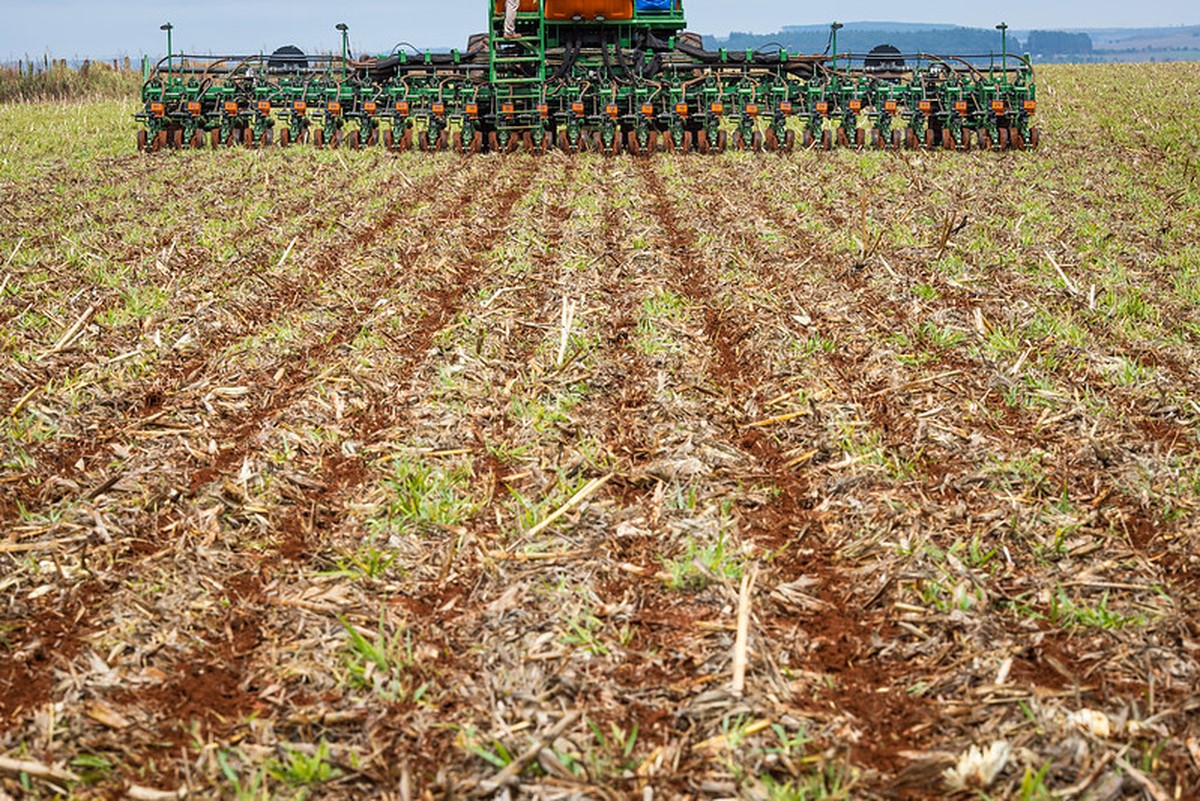 Cenário climático exige atenção no início da semeadura de soja em Mato Grosso