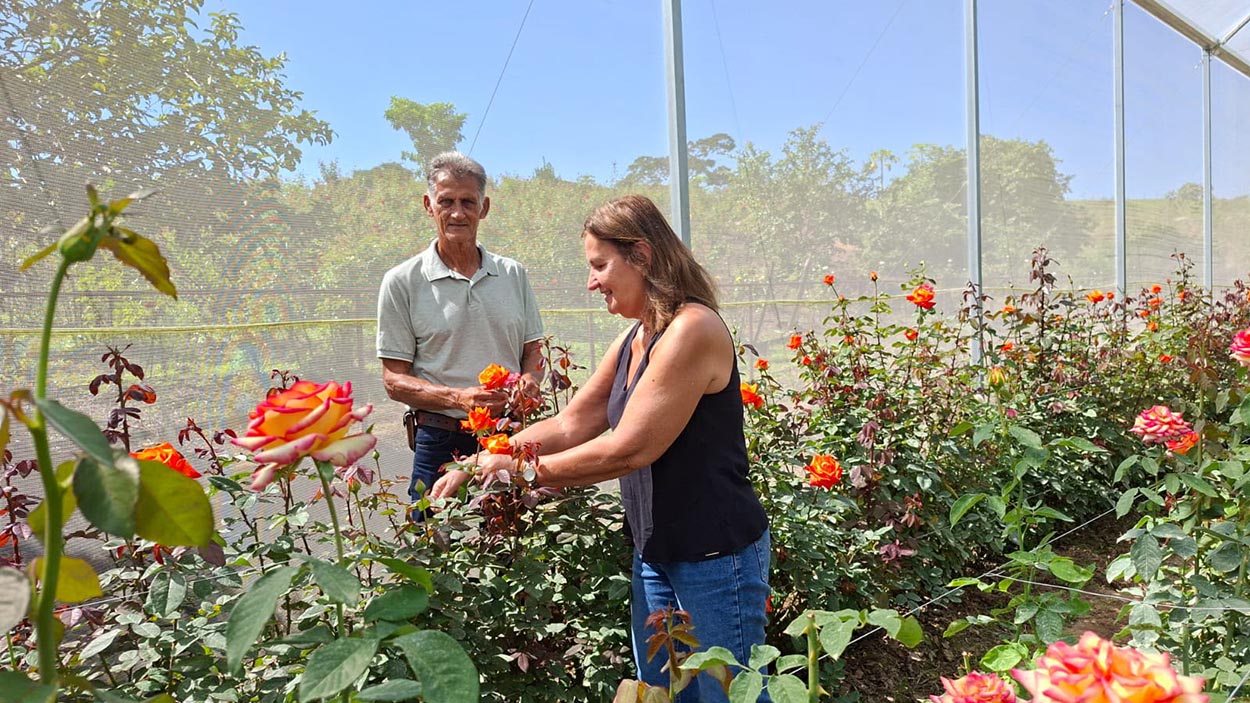 Primavera aquece o setor de flores no Rio de Janeiro