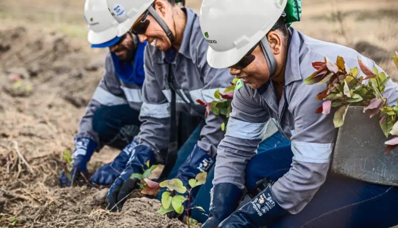 Suzano abre cadastro para futuras vagas de pessoas com deficiência