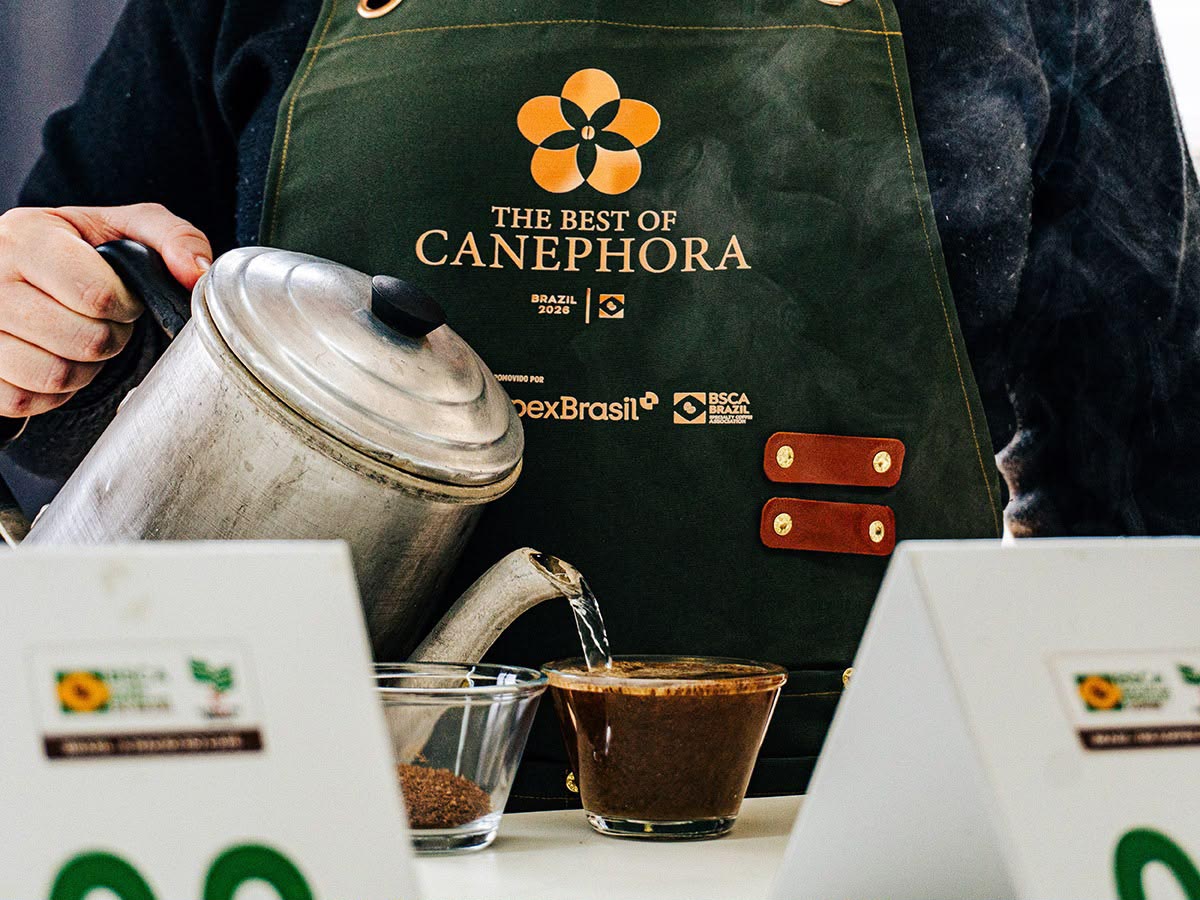 Brasil avança rumo aos primeiros cafés canéfora especiais reconhecidos no mundo