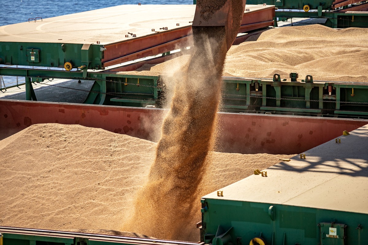 Diversificação e dependência de insumos desafiam exportações do Brasil