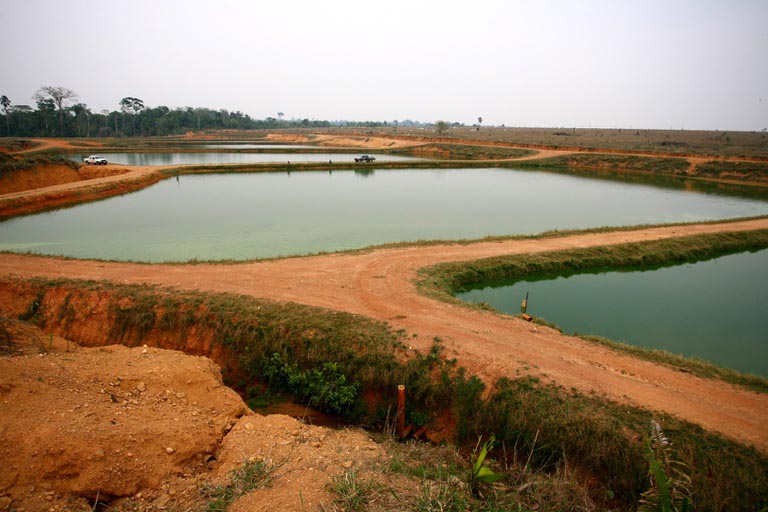 Conama aprova novas regras para licenciamento ambiental da aquicultura