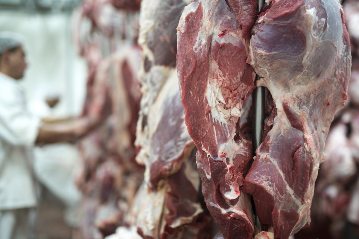 Paraguai mira expansão de exportações de carne bovina para os Estados Unidos