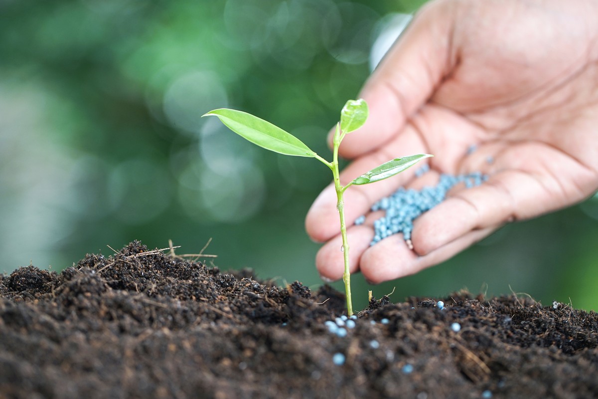 Poder de compra de fertilizantes melhora 7% em agosto
