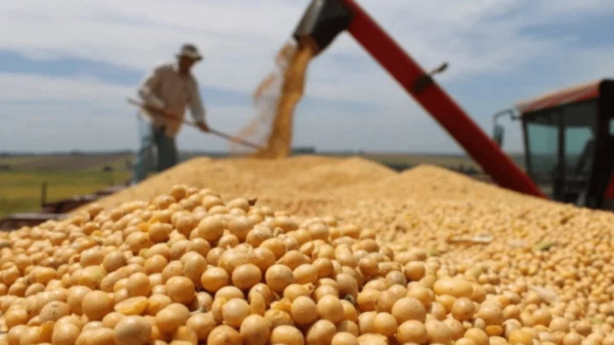 Safra de grãos pode bater recorde e crescer 1,4% em 2026/27