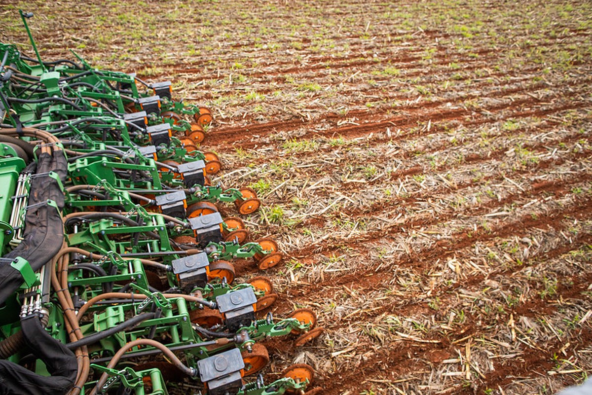 Plantio da soja avança em Mato Grosso, mas clima limita ritmo