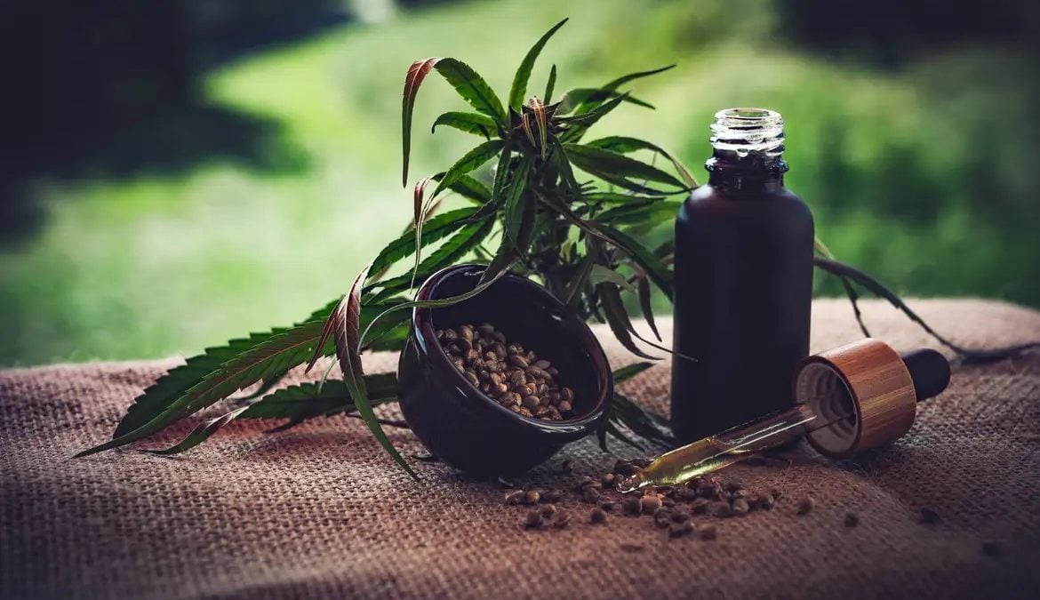 Mercado de cannabis medicinal no Brasil pode atingir R$ 1,2 bilhão em 2026