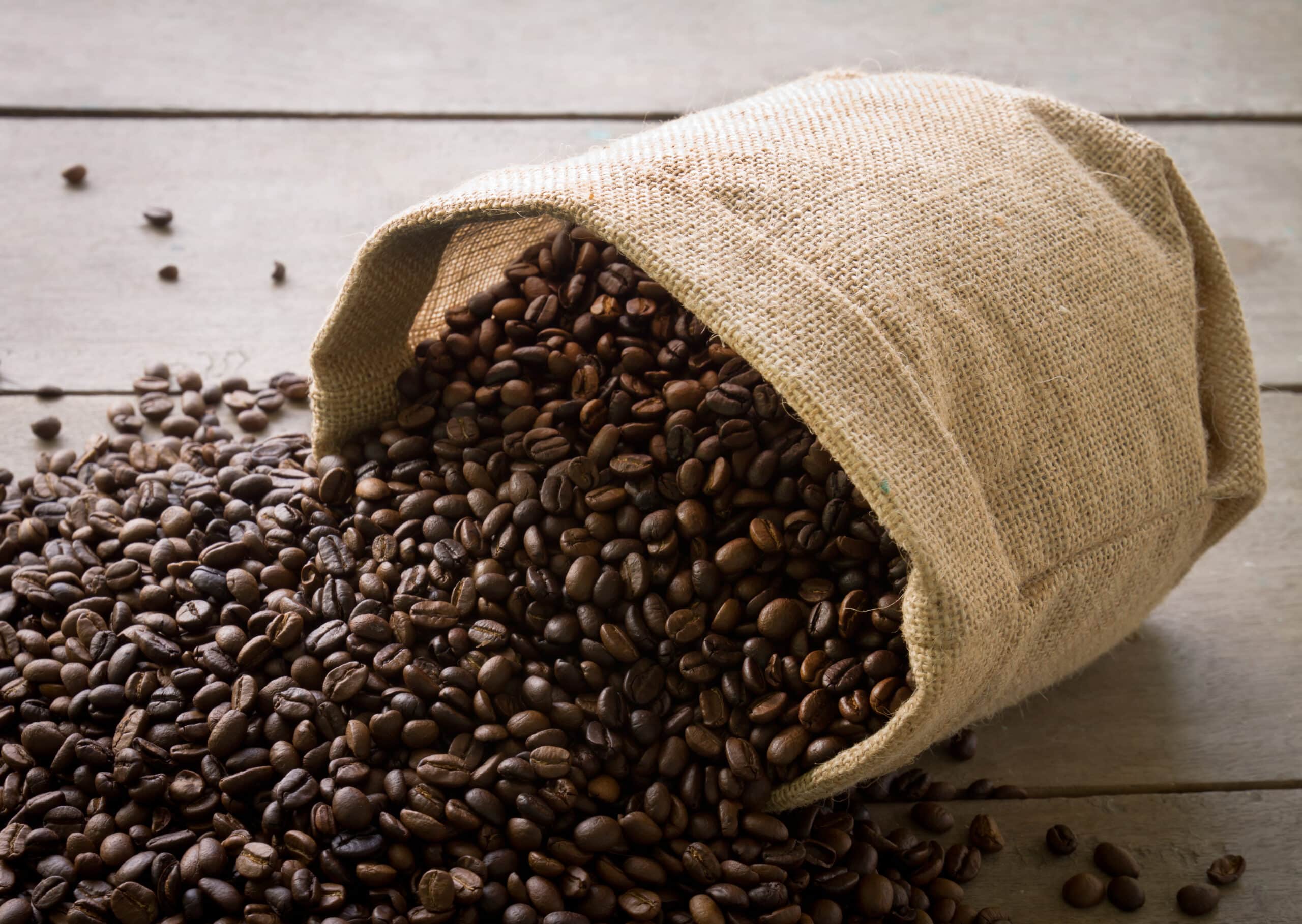 Safra de café pode chegar a 67,6 milhões de sacas em 2026