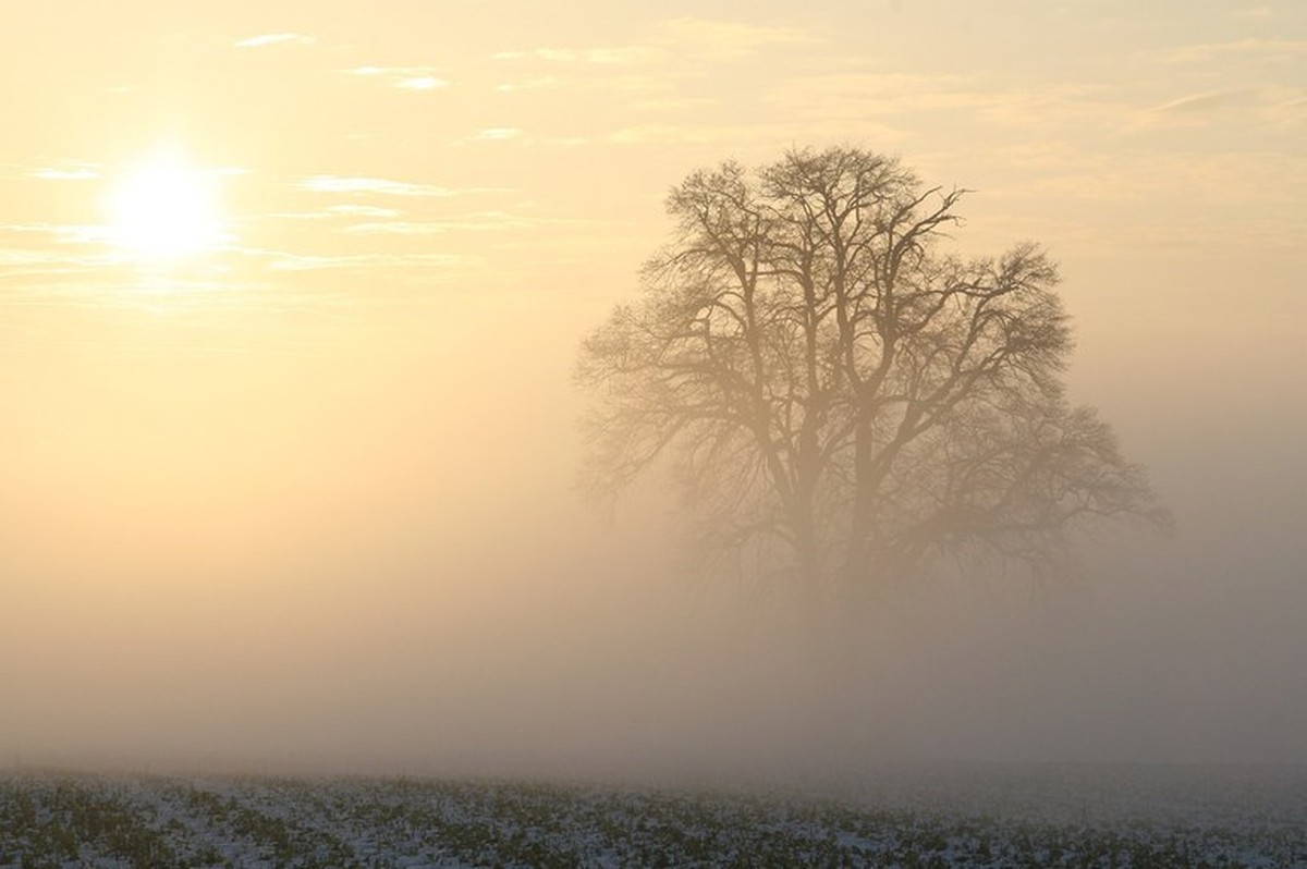 Feriado será de frio intenso em grande parte do Brasil; veja a previsão para cada região