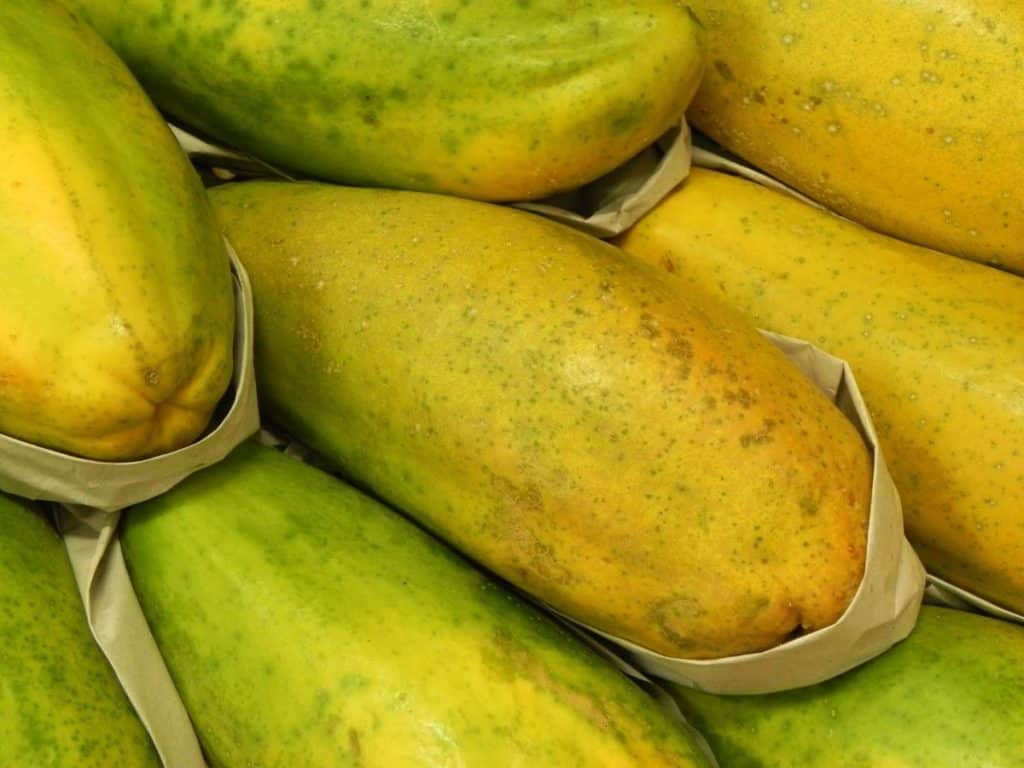 Mamão Formosa em alta: desafios climáticos e qualidade impulsionam preços no mercado nacional