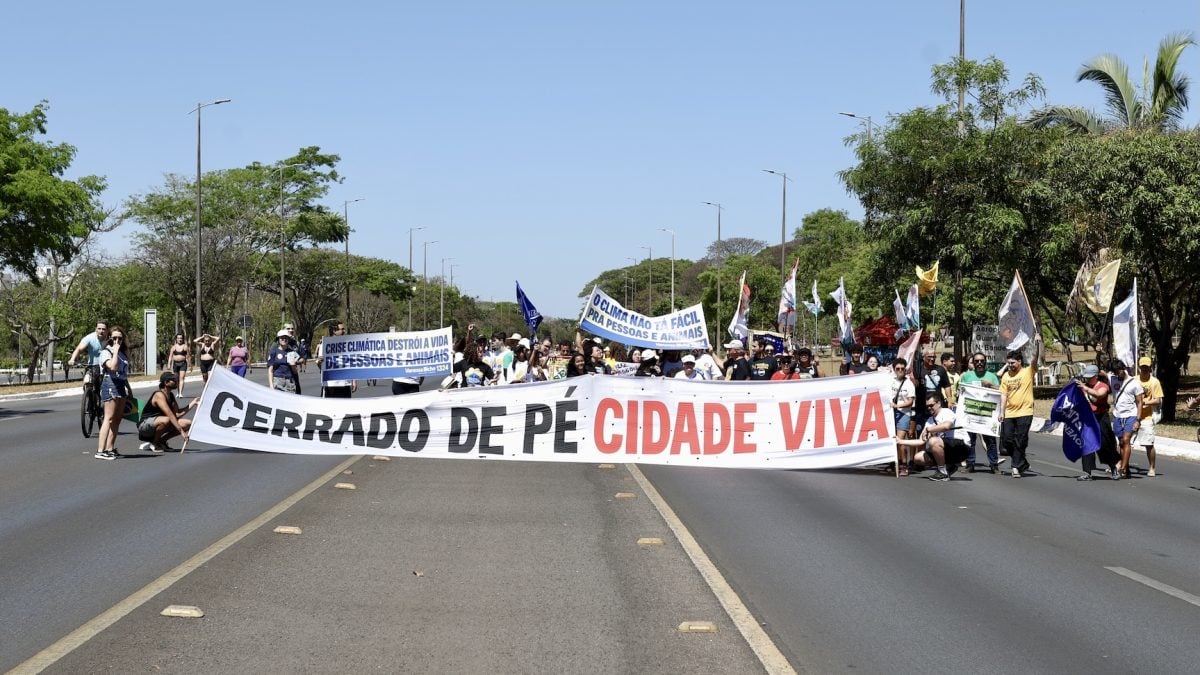 Marcha pelo Clima reúne ONGs e partidos em Brasília