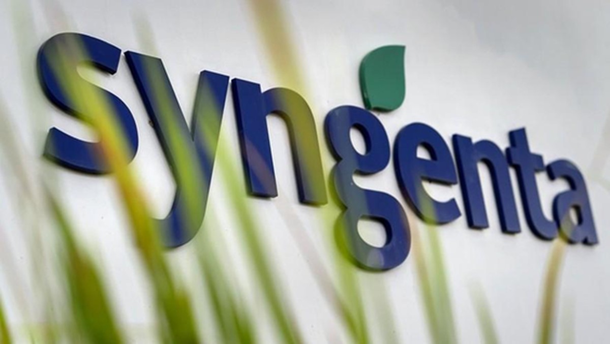 Syngenta abre vagas para jovem aprendiz; inscrições vão até novembro