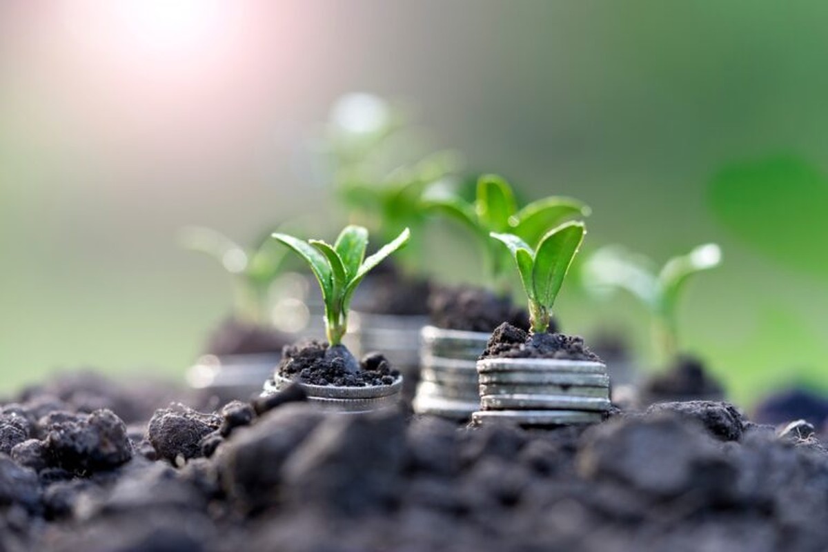 CropLife Brasil apoia decreto dos bioinsumos e pede ajustes