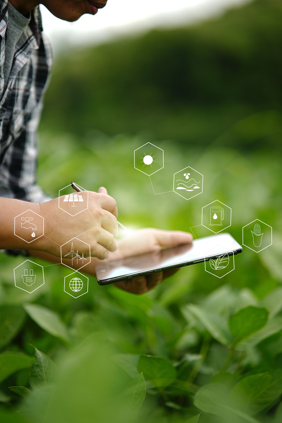 Conectividade transforma a gestão das operações agrícolas