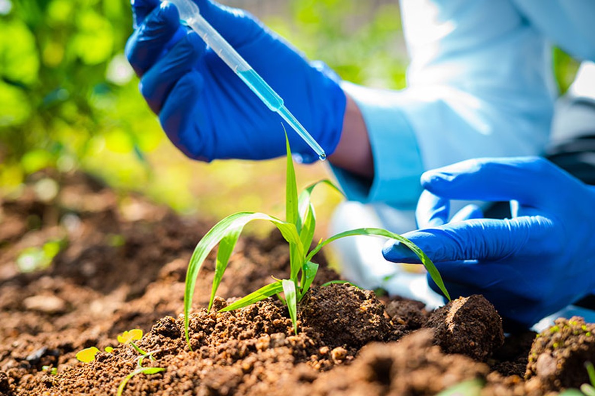 Vendas de bioinsumos crescem 9,6% no primeiro semestre