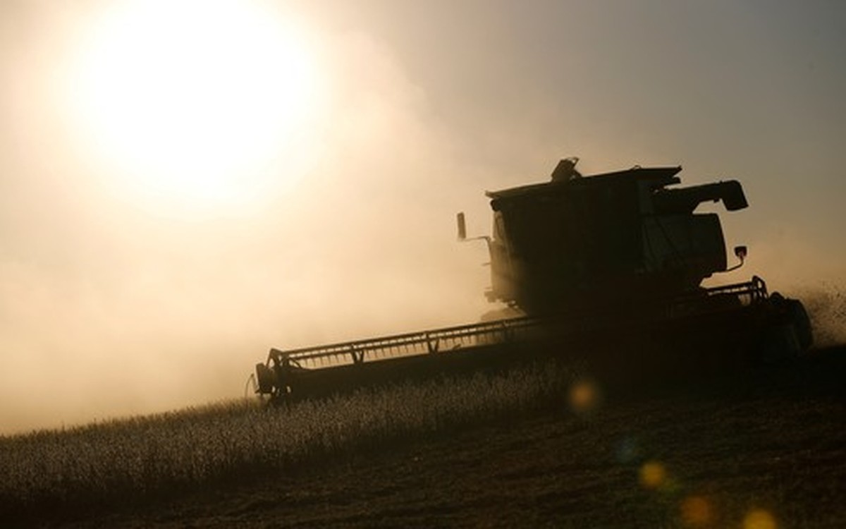 Empresas de alimentos deixam de monitorar riscos climáticos ao abastecimento, aponta estudo