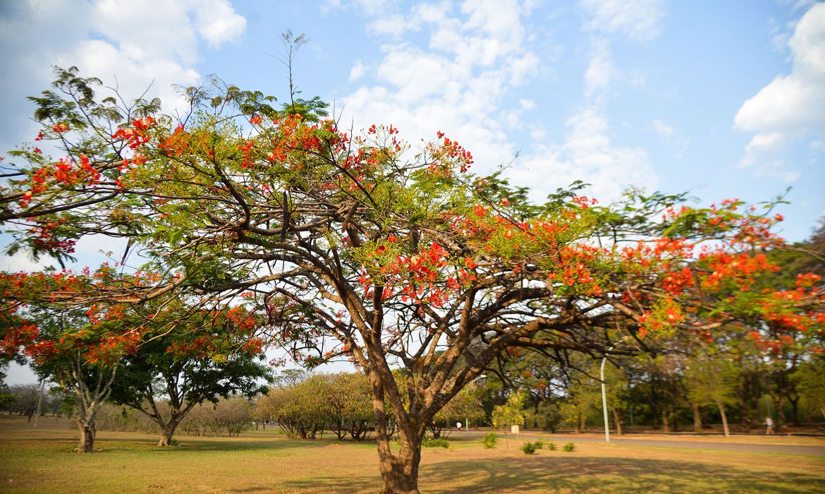 Primavera chega a Goiás com chuvas irregulares e calor sob influência do El Niño