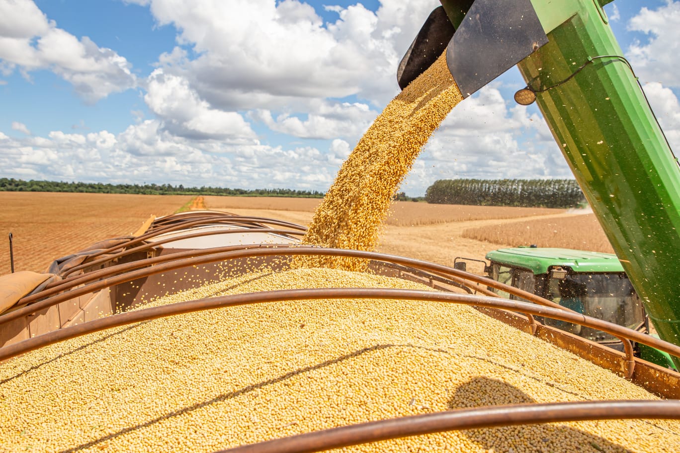 Goiás é o 5º estado com maior valor da produção agrícola do Brasil