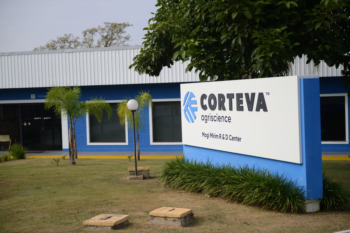 Fim da batalha judicial: Corteva e Inari resolvem briga por sementes de milho e soja