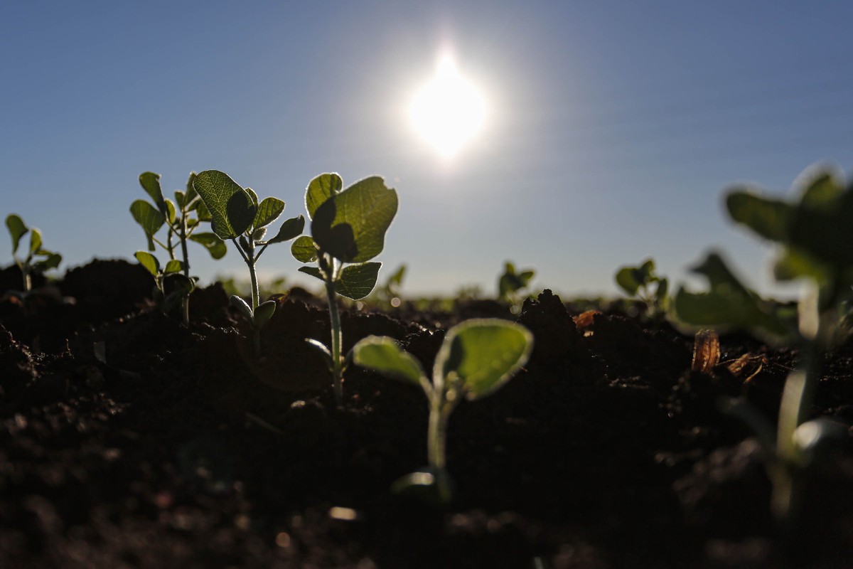 El Niño pode atrasar o plantio de soja em outubro