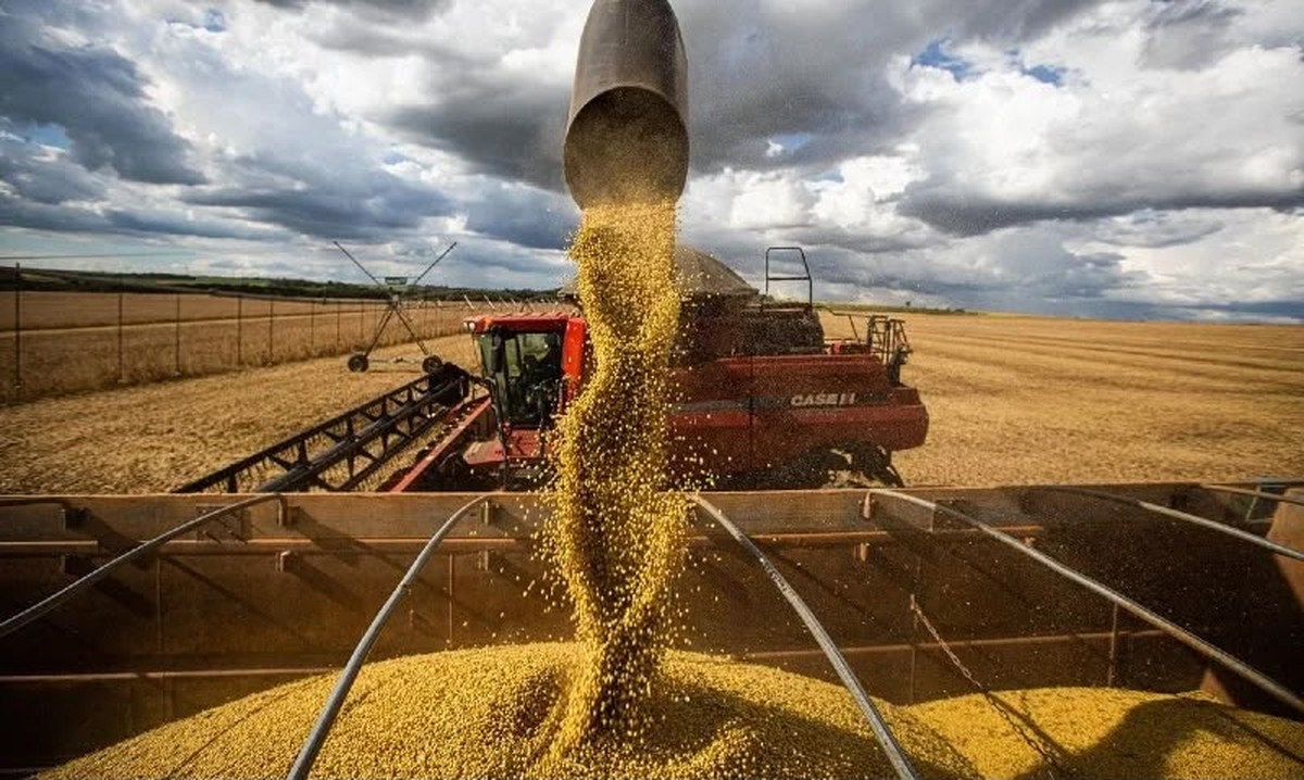 Soja consolida-se como carro-chefe do agronegócio no Nordeste