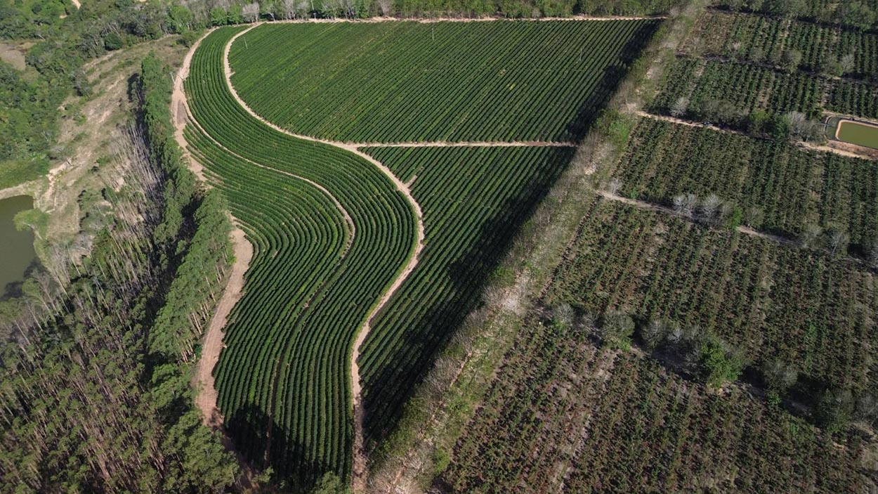 Irrigação eficiente: como produtores podem economizar mais de 30% de água e impulsionar lavouras