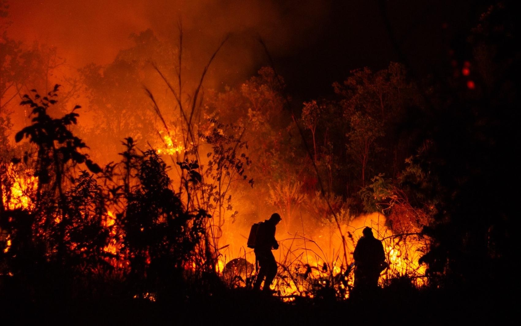 Goiás registra 39 atendimentos a incêndios em vegetação em um dia