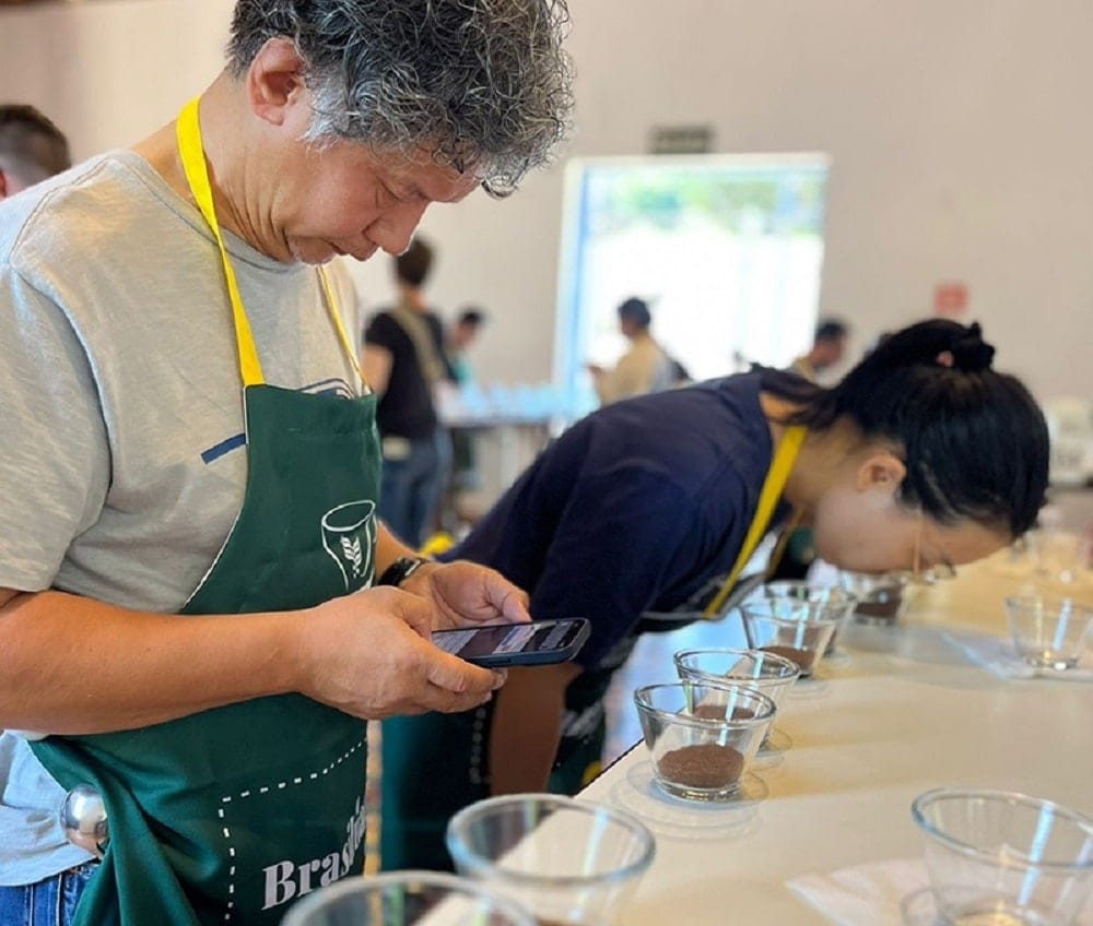 Melhores cafés do Brasil avançam no Cup of Excellence 2026