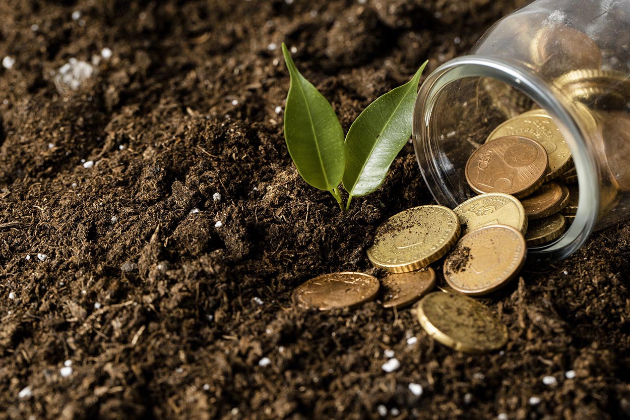 Agropecuária capixaba surpreende e tem PIB com salto de 125% em quatro anos