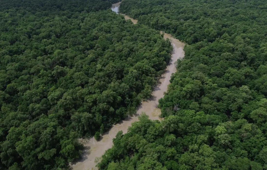 Desmatamento na Amazônia e Cerrado atinge menores índices históricos em um ano