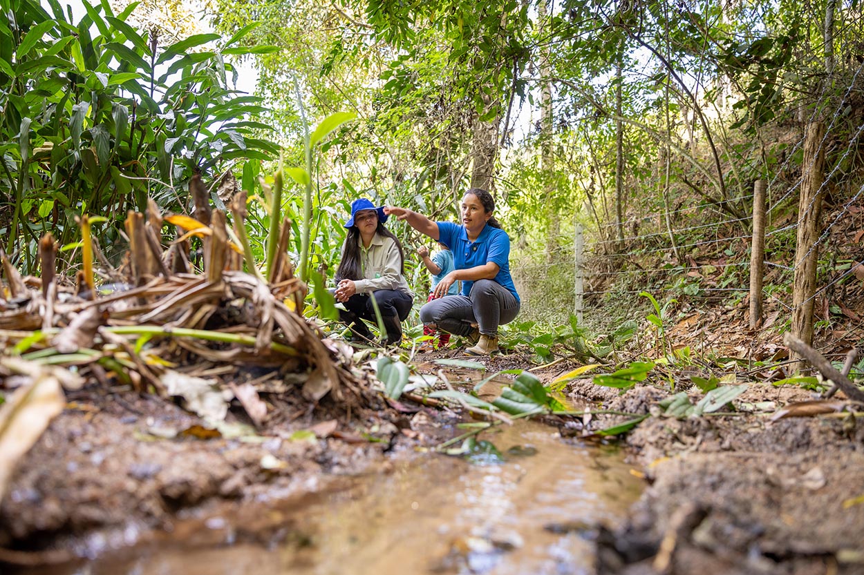 Aliança pelo futuro: como agricultores e Instituto Terra restauram a Bacia do Rio Doce